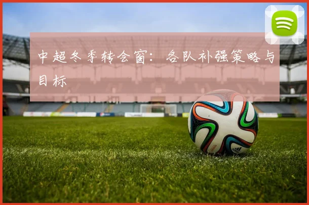 中超冬季转会窗：各队补强策略与目标
