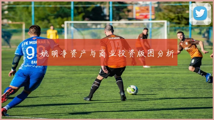 姚明净资产与商业投资版图分析